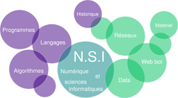 NSI